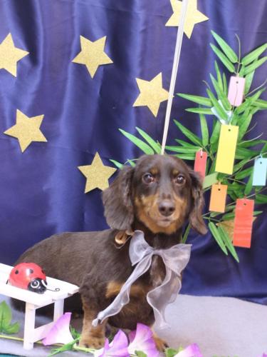 20230729ミロくん